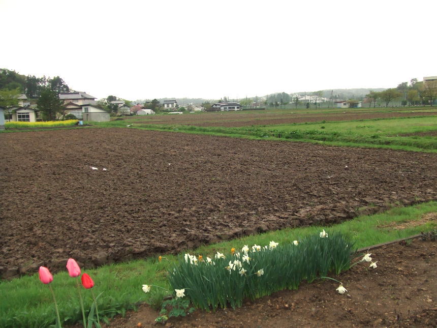 秋田中央インター付近