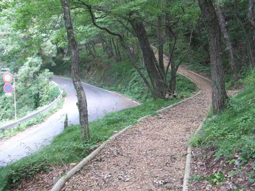 ハイキング道と一般道