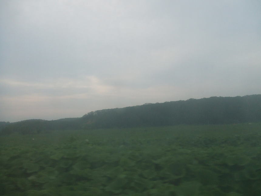 釧路駅着十数分前の景色