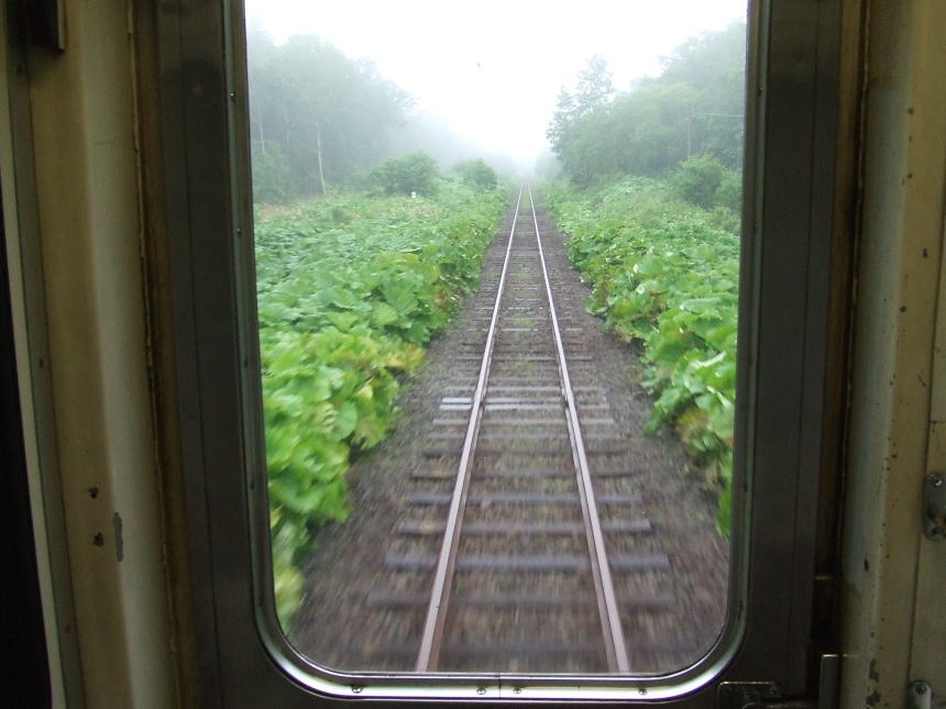 車両後部から撮った線路