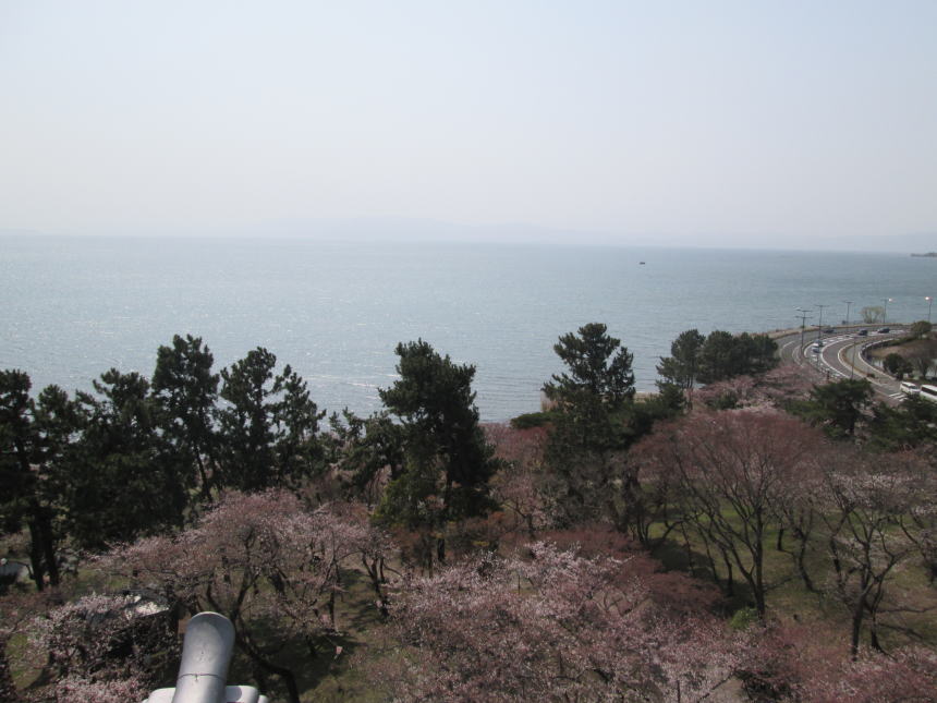 博物館5階からの眺望（西側）