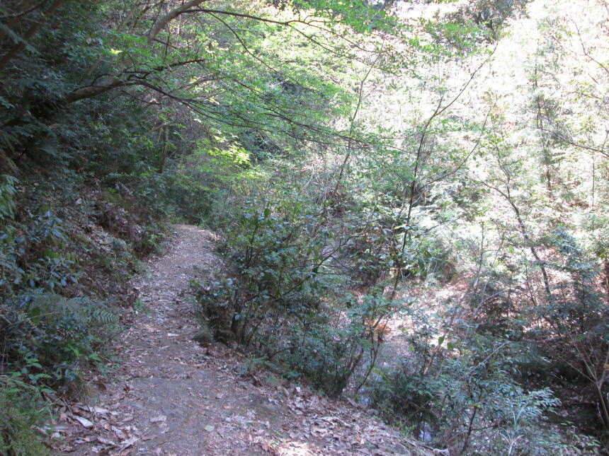 大宰府政庁跡方面への山道