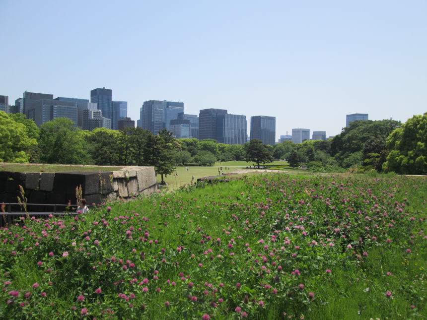 天守台から見る本丸跡