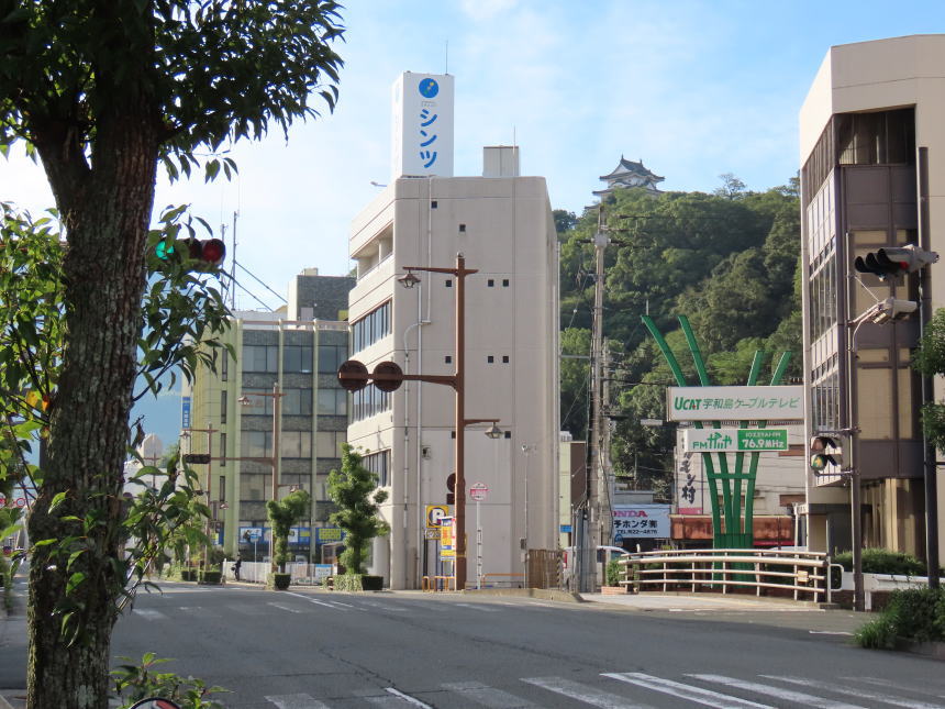 道路から見える天守